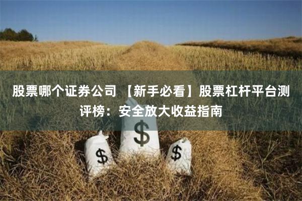 股票哪个证券公司 【新手必看】股票杠杆平台测评榜：安全放大收益指南